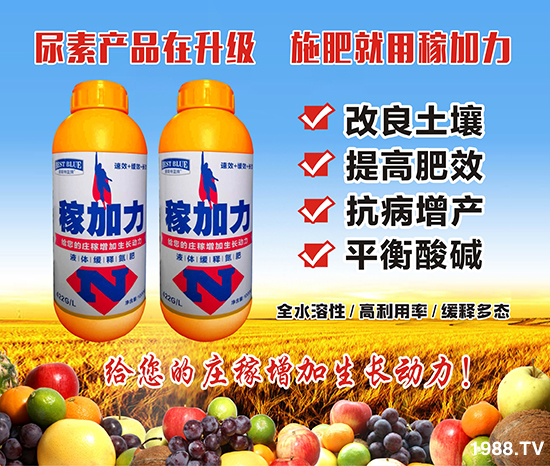 ˹ءףт옷f֥_(ji)(ji)