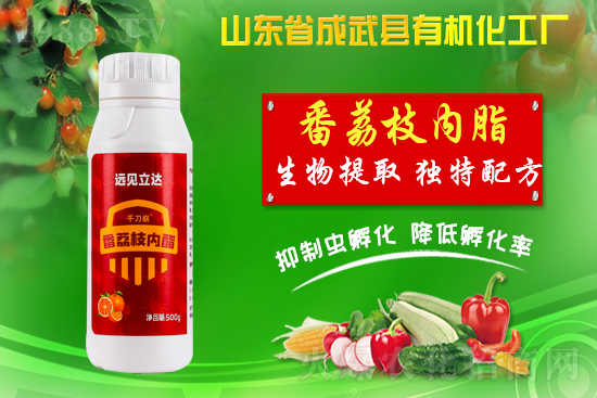 ЙC(j)SףµһչD