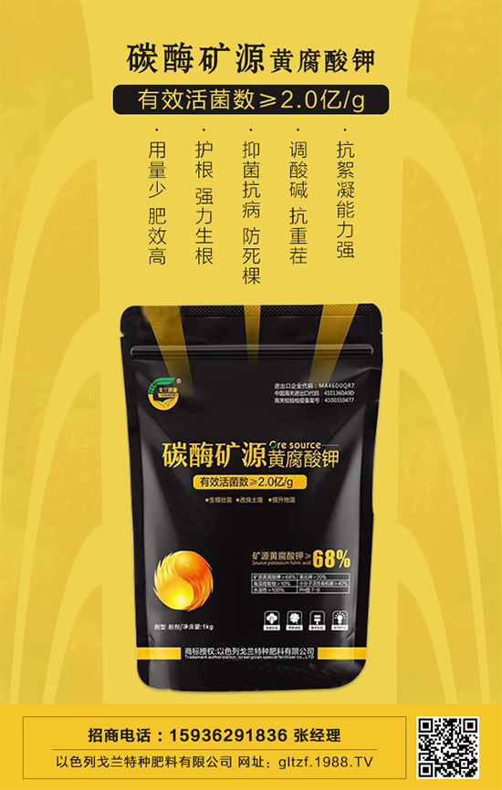 mطNϡףV(jng)N2022I(y)vw