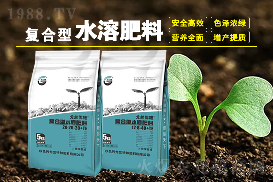 mطNϡףV(jng)N2022I(y)vw