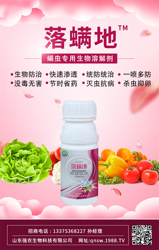 rףт옷d2022\