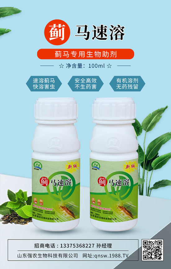 rףт옷d2022\