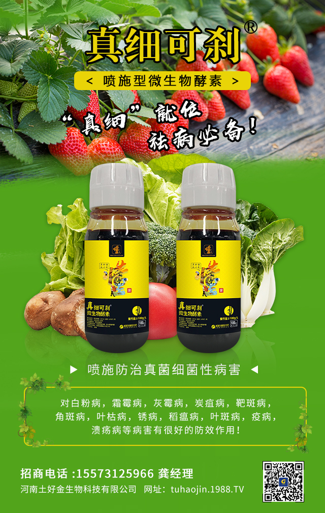 ýףȫ(gu)r(nng)Y(jng)Nт2022옷d¡f