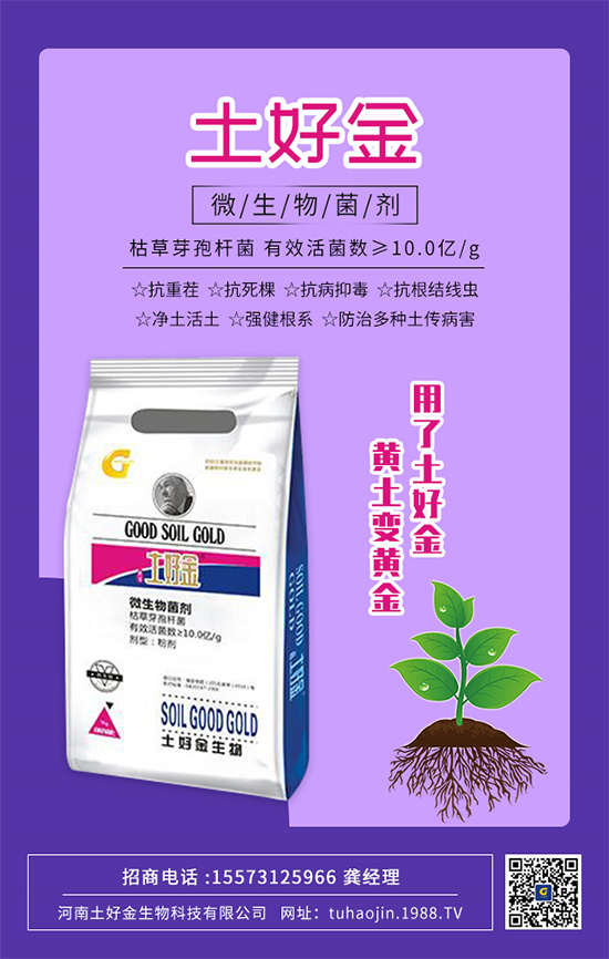 ýףȫ(gu)r(nng)Y(jng)Nт2022옷d¡f