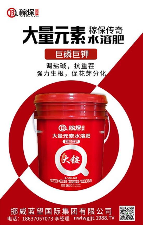 Ų{(ln)ף옷꼪2022ؔ(ci)ԴLL