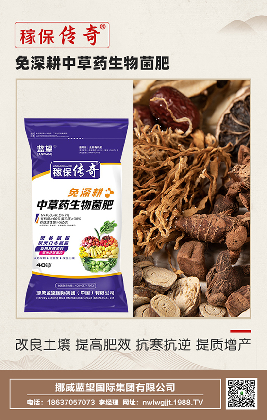 Ų{(ln)ף옷꼪2022ؔ(ci)ԴLL