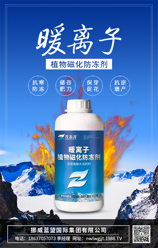 Ų{(ln)ף옷꼪2022ؔ(ci)ԴLL