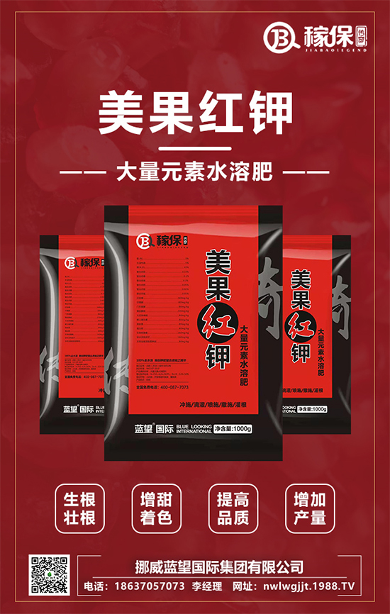 Ų{(ln)ף옷꼪2022ؔ(ci)ԴLL