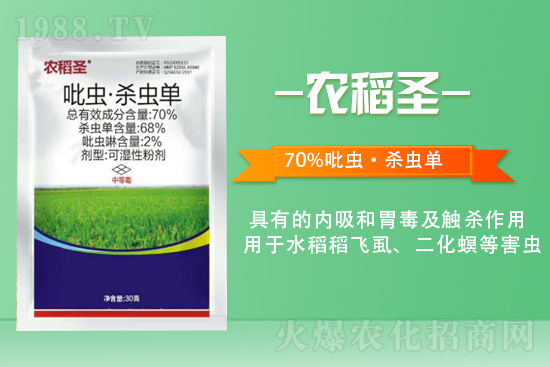 2022年2月5日毒死蜱殺蟲劑價(jià)格