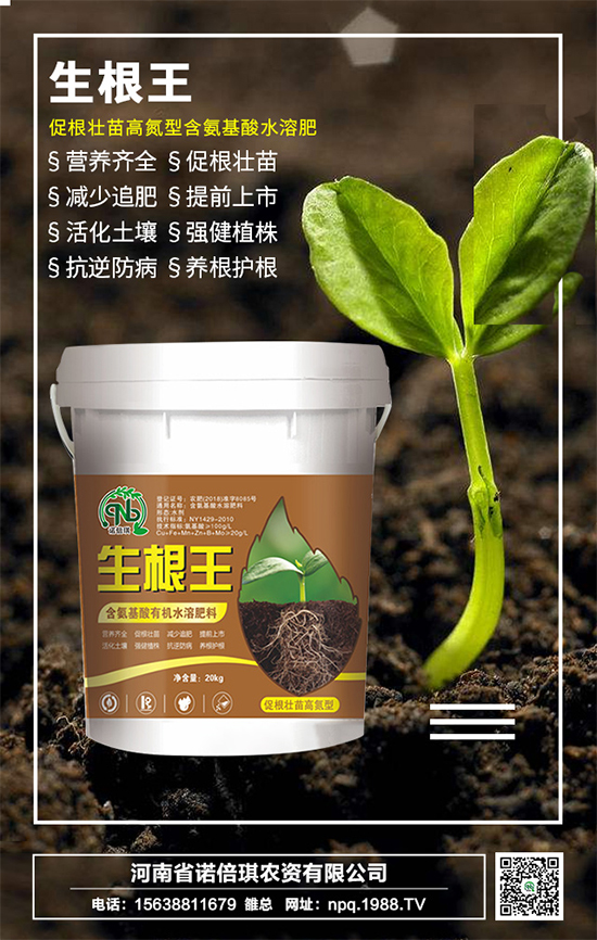 Zr(nng)YףµһI(y)г\(yn)o