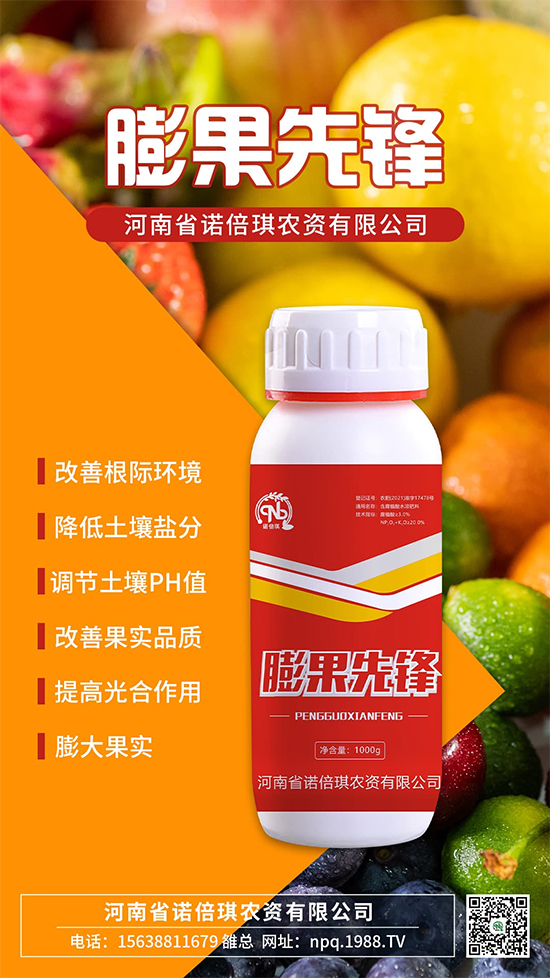 Zr(nng)YףµһI(y)г\(yn)o