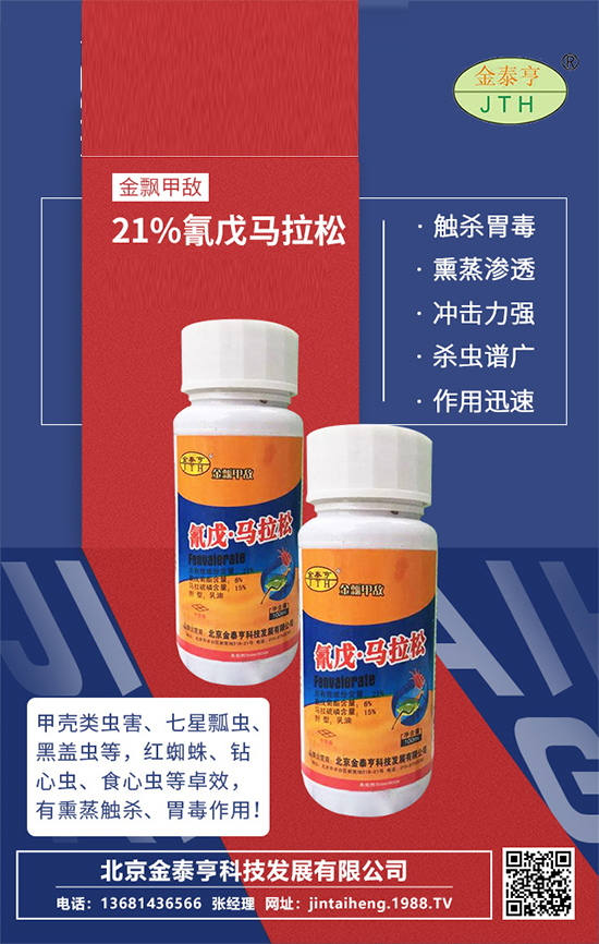 ̩ࡿףVтؔ\LL옷󼪣