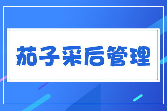 茄子采后管理