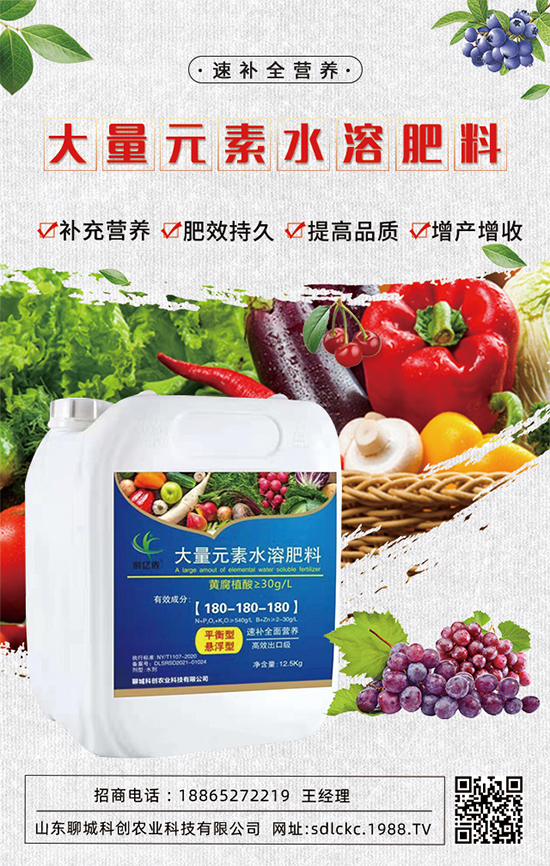 山東聊城科創(chuàng)再簽1988.TV,共謀合作促雙贏!