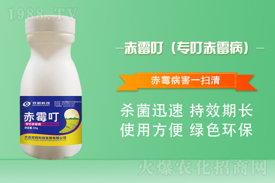 BpͿƼٺ1988.TV(chung)x