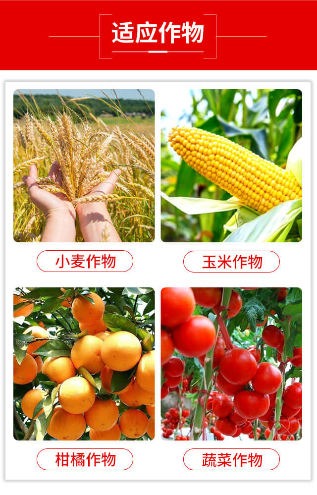 噻蟲·高氯氟-藍虎品牌_03