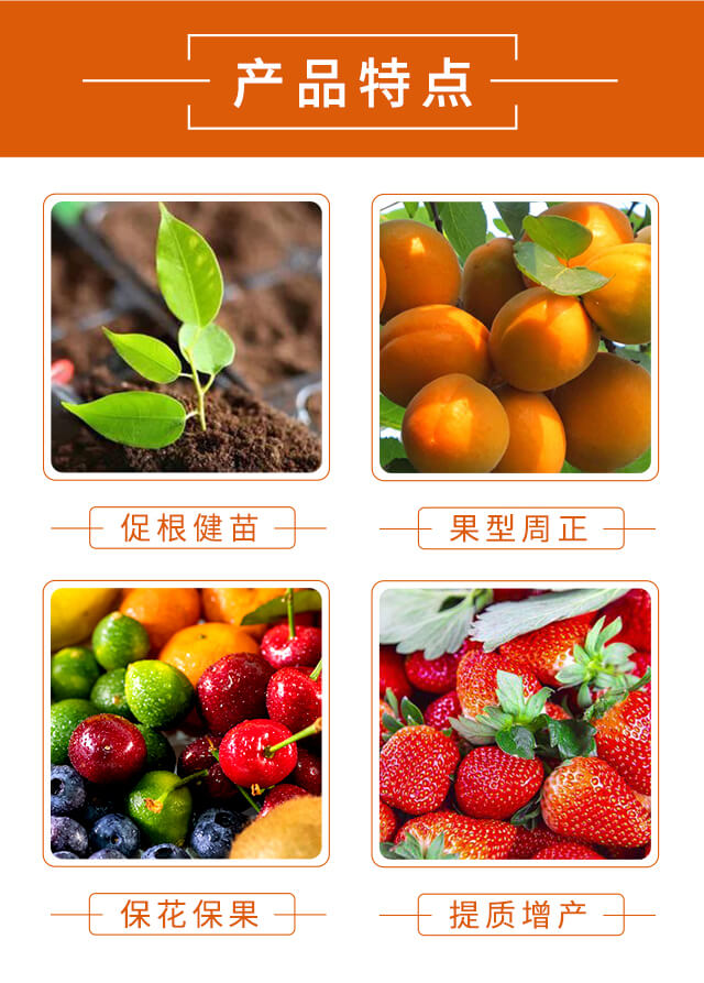 普恩特力-海法特種肥業(yè)_03