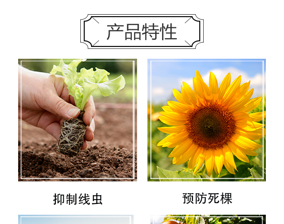 ΞxW(xu)޹˾-δ򪚶_04