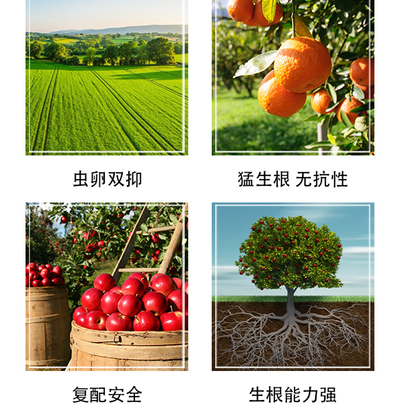 ΞxW(xu)޹˾-δ򪚶_05