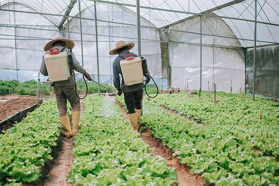 ذߌóɶNI(y)[(hu)n1118