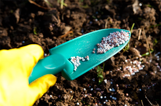 ذߌóɶNI(y)[(hu)n1118