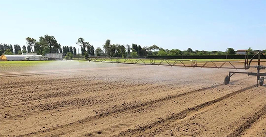 ذߌóɶNI(y)[(hu)n1118