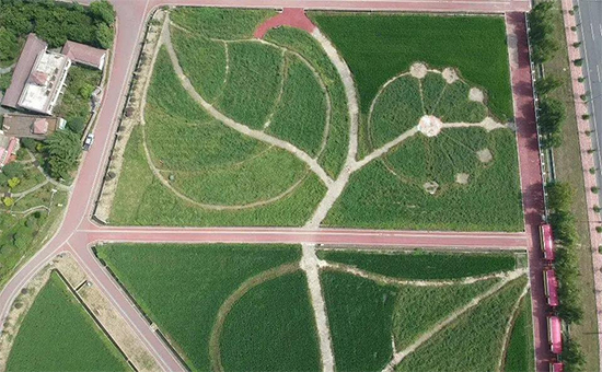 ذߌóɶNI(y)[(hu)n1118