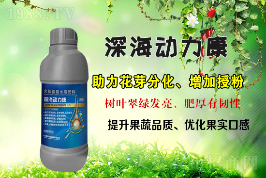 r(nng)W(wng)ϲӭr(nng)sv1988.TV