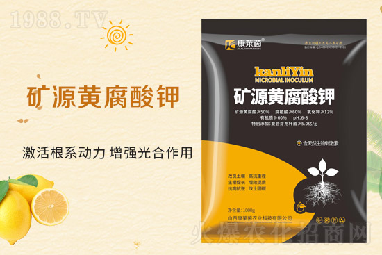 r(nng)W(wng)ϲӭRɹs1988.TV