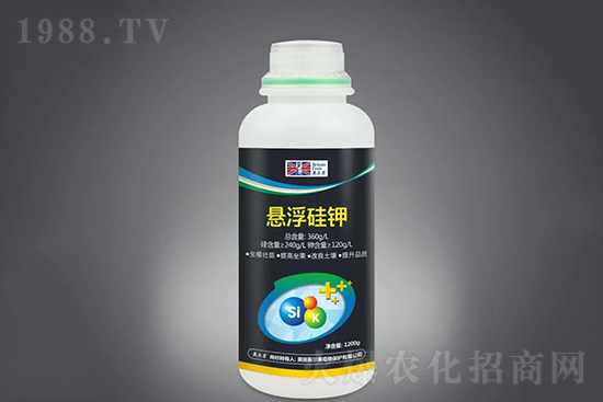     ˮă(yu)䷽ʩУ˂ʮҕ⛵ȴԪػʵʩs˹\Ԫصʩ