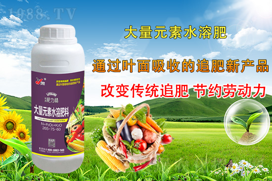 作物落花落果、座果低不用急!激發(fā)潛能,促花座果的秘訣在這!