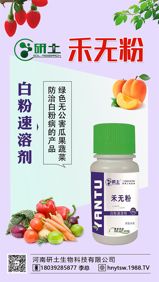 Ѱ׷۲l(f)ֱ׷۲