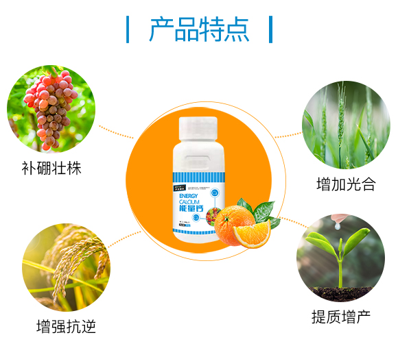 護(hù)果國(guó)際855862_03