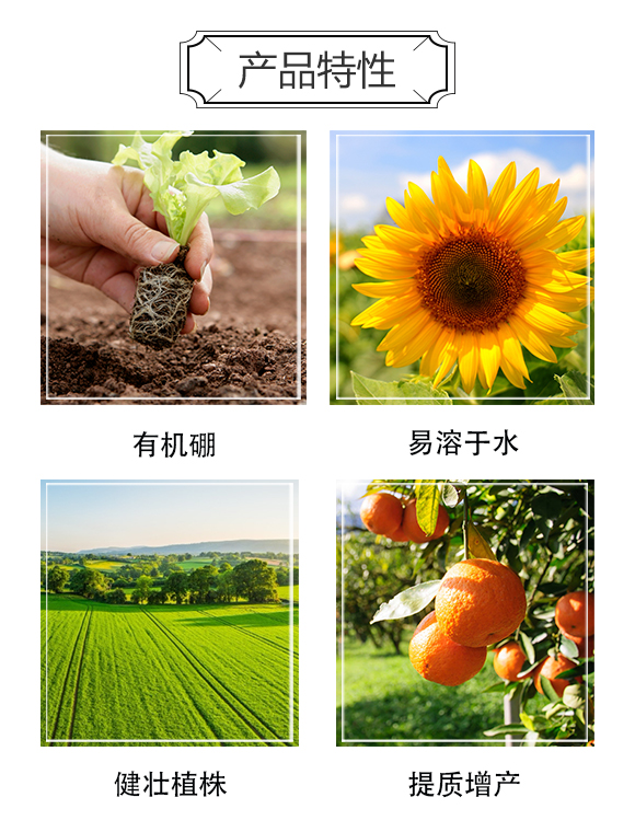 格萊富生態(tài)肥料(河北)有限公司808789_03