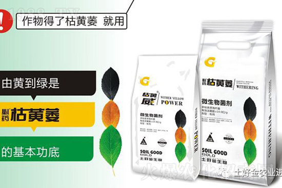 SήݵȲӜ皢͉