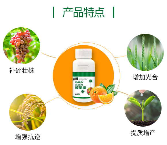 護(hù)果國際855863_03