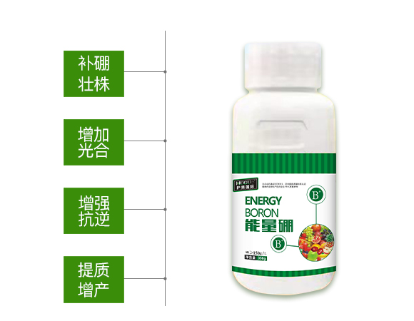 護(hù)果國際855863_02