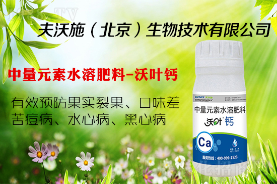 ѹôka(b)}P(gun)I! @(g)pɽQ