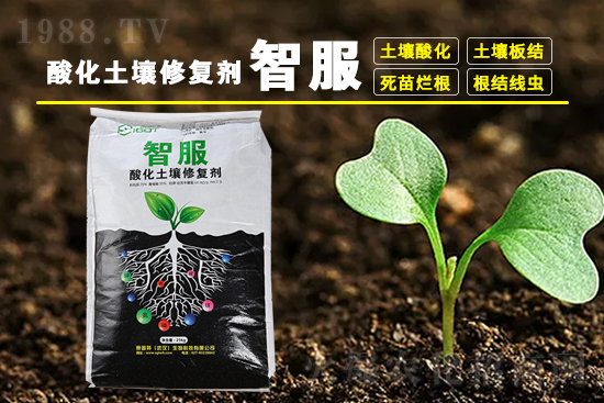 近期稻瘟酰胺殺菌劑價格(4月14)