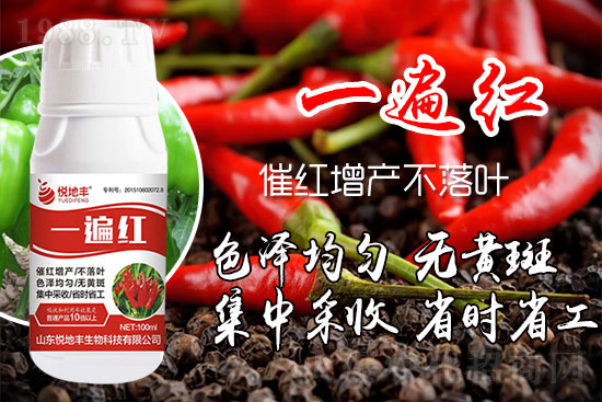 ߼tʩôǰ߼tˎʲôr