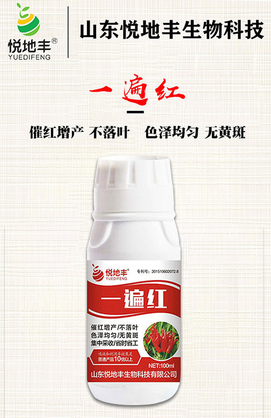 ߼tʩôǰ߼tˎʲôrã