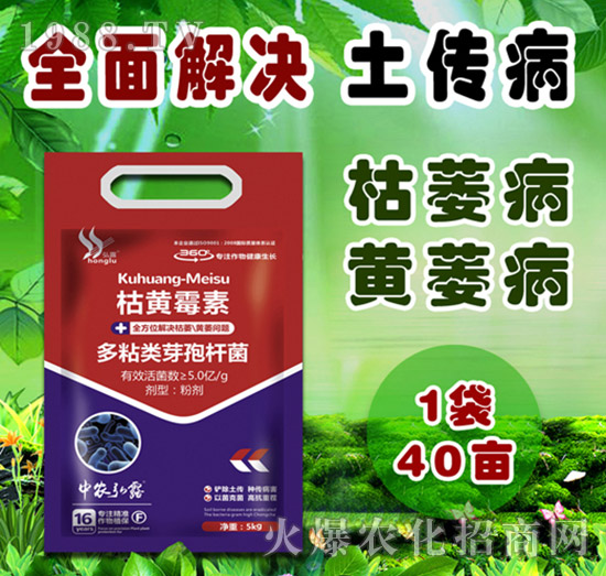 細(xì)菌性病害有哪些?防治藥劑怎么選?一篇文章說明白