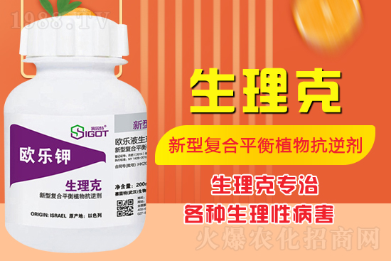 ĚʲôYôQĚ