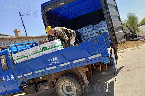 NƷS2̖l(f)؛ͣЪ