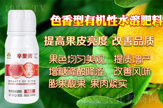 ɫĺÎ(sh)ɫ