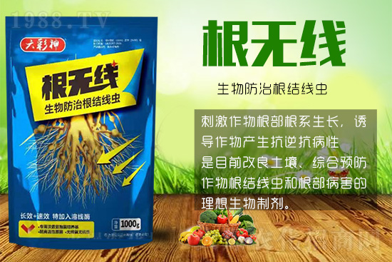 Y(ji)xך^y@ӷЧõ@ˣ