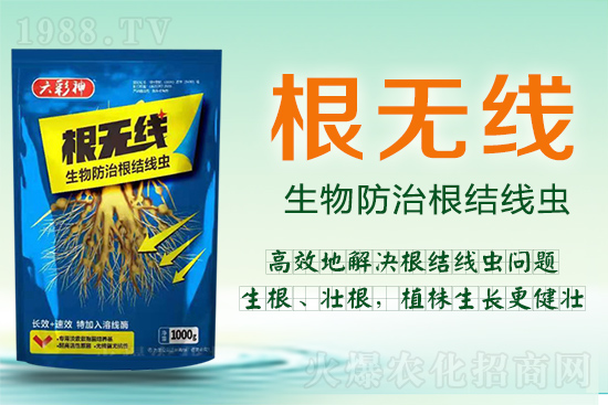 Y(ji)xך^y@ӷЧõ@