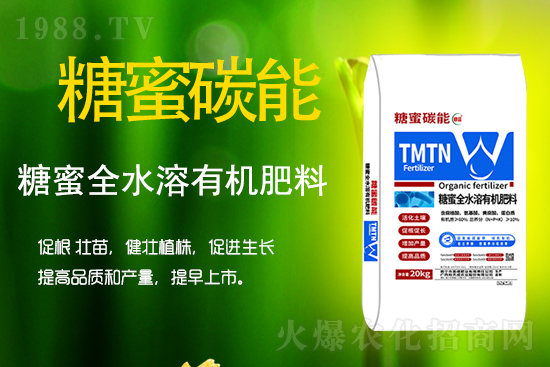 ѸٻW(xu)@Щ°빦