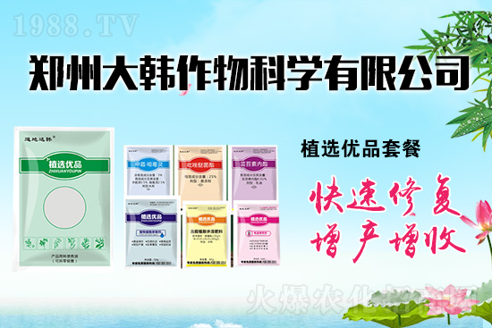 ˎʺll(f)ôkl(f)ˎʺa(b)ȣ