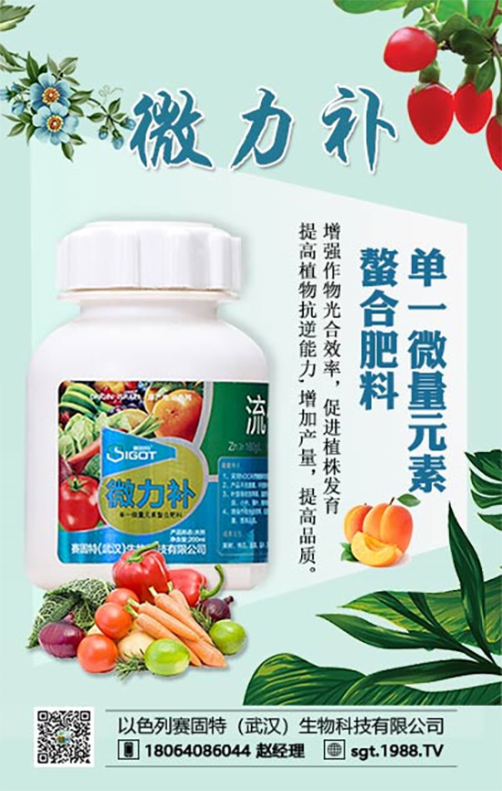 防治果樹(shù)小葉、黃葉病,專(zhuān)家有妙招!